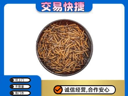 伊犁州尼勒克县回收散虫草